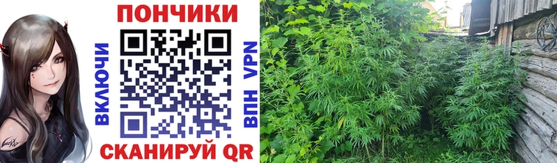 Продажа наркотиков Ковров Лсд 25  Alpha PVP  блэк спрут как войти  Мефедрон  Каннабис  АМФ  ГАШИШ 