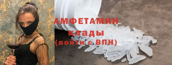 шишки Осинники