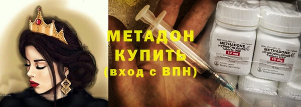 шишки Осинники
