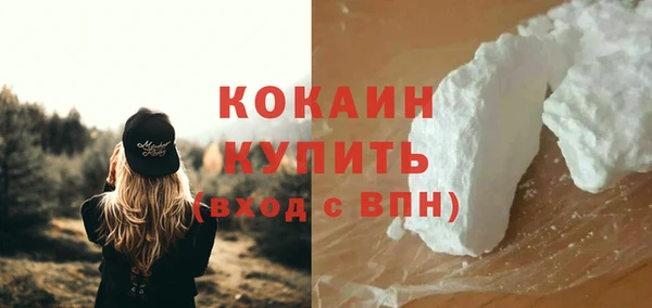 шишки Осинники