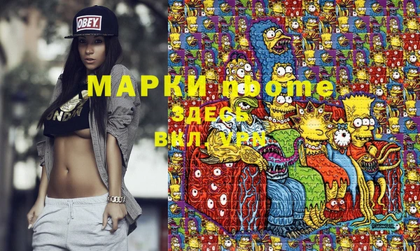 шишки Осинники