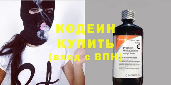шишки Осинники