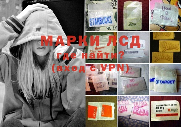 шишки Осинники