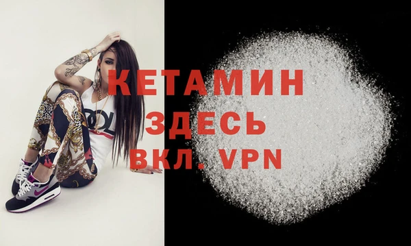 шишки Осинники