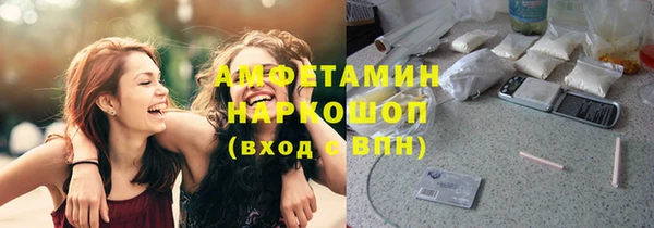 шишки Осинники