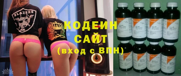шишки Осинники